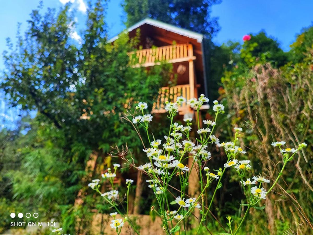 The Tree Top Treehouse Jibhi Hotel Exterior photo